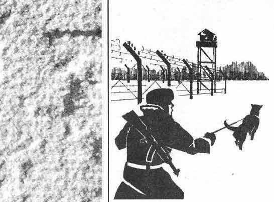 Все особенности зоны - контрабанда в тюрьму, как делают?