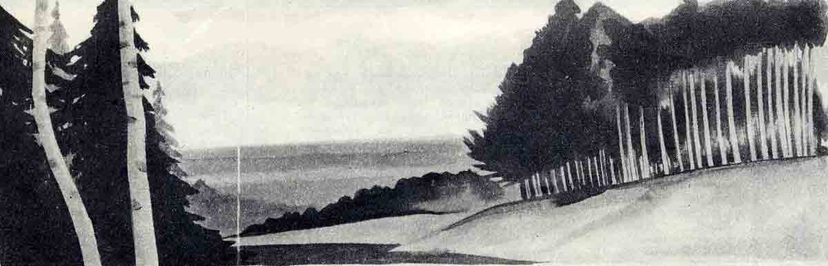 Как служили советские солдаты в 70-х годах в тайге Как служили советские солдаты в 70-х годах в тайге