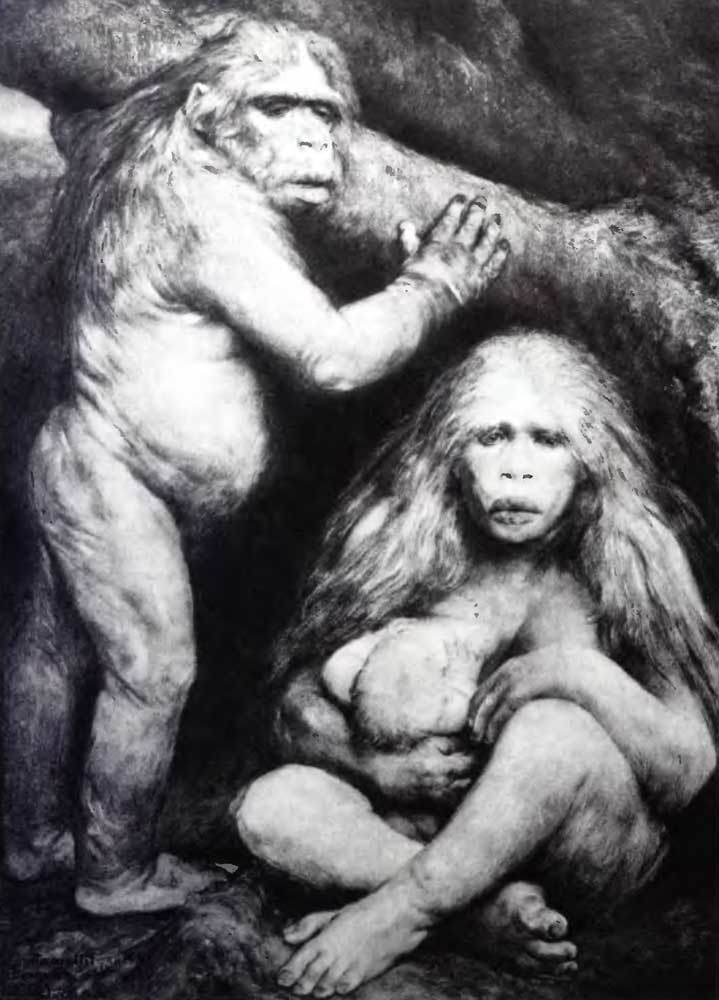 Как женщина боролась за свои права миллионы лет эволюции