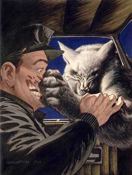 Американские иллюстрации в книгах USA