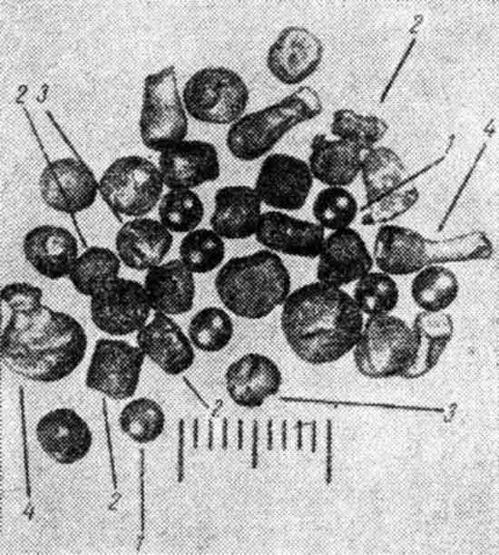 Охотничья дробь - картеч, сечка, катанка, литая