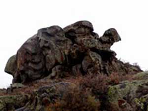 Камень-Черепаха. Дорога на Тасбулак