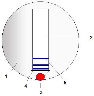 Проверка плоскостности с помощью интерференции КМД Проверка плоскостности с помощью интерференции КМД