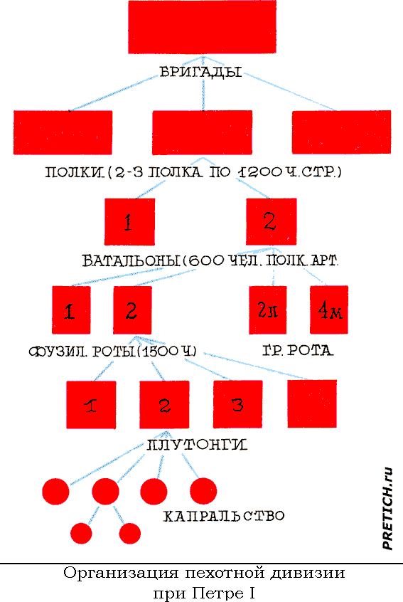 Организация пехотной дивизии при Петре I Организация пехотной дивизии при Петре I