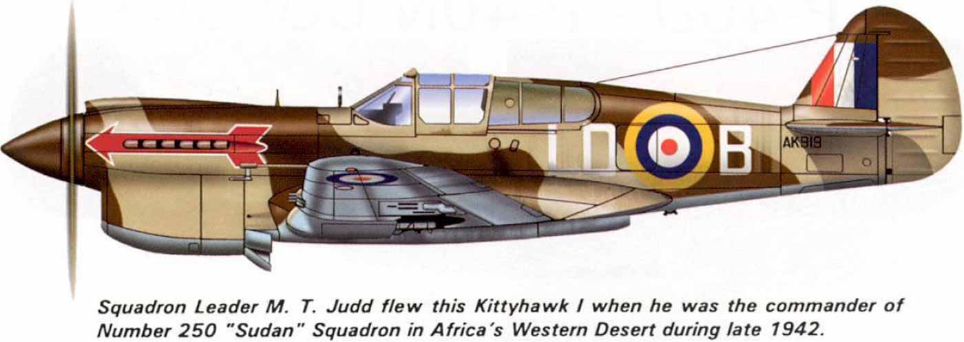Kittyhawk-1 раскраска для Северной Африки Kittyhawk-1 раскраска для Северной Африки