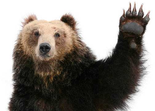 Турист и путешественник - оригинальный рецепт соленого сал оригинальный рецепт соленого сала хорошо в походе