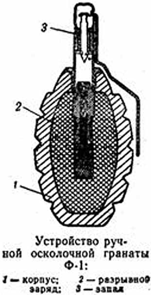 Ф-1 устройство осколочной гранаты Ф-1 устройство осколочной гранаты