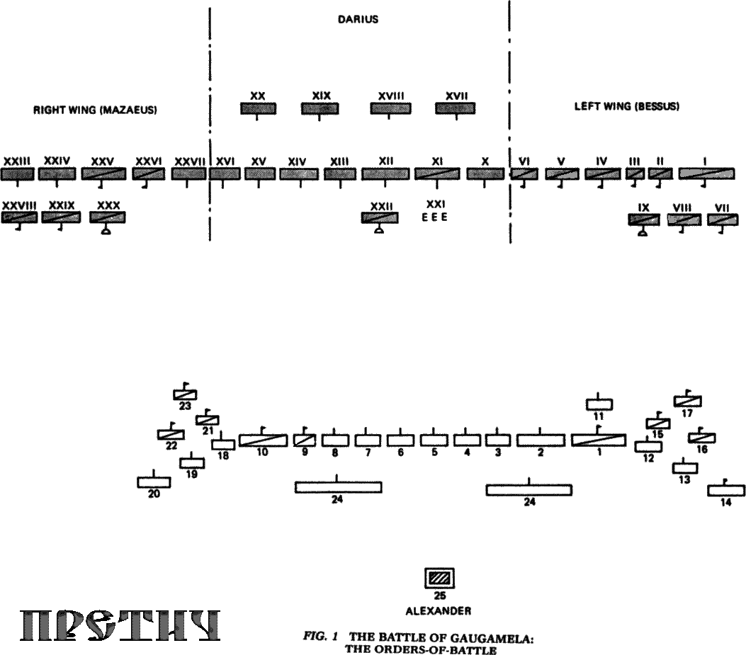 Карта сражения при Гавгамелах, порядок войск Карта - сражение при Гавгамелах, порядок войск