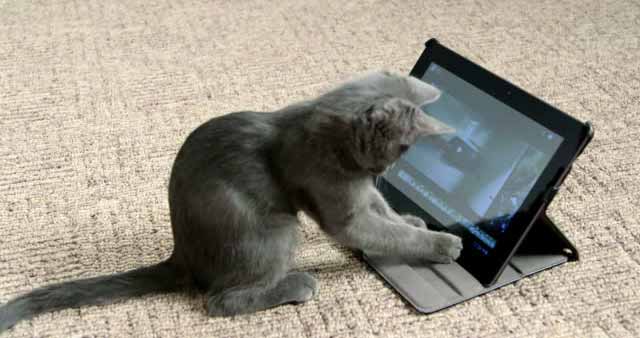 Картинки для статей: mebelnaya-futorka-01.jpg Основные принципы работы на компьютере