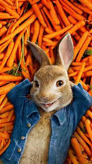 онлайн игры, казино и игровые автоматы