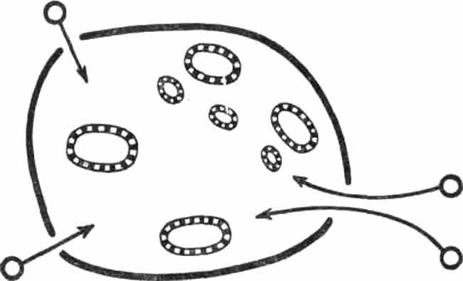 Уничтожение партизан в котле путем дробления его на меньшие части Уничтожение партизан в котле путем дробления его на меньшие части