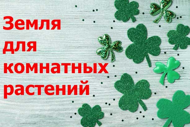 Земля для комнатных растений
