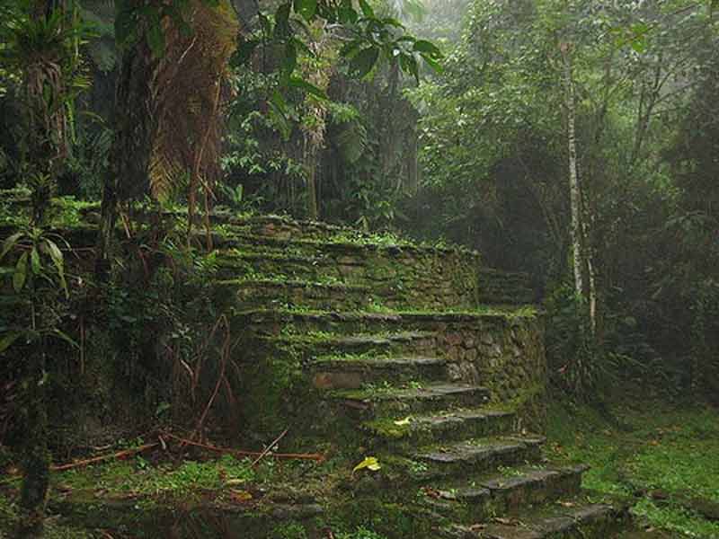 ступени в джунглях - Тайрона