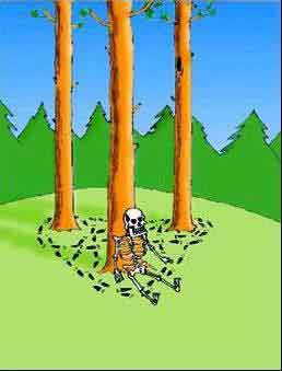 антибиотики, лекарства польза или вред?