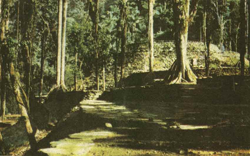 Тайрона древний индейский город