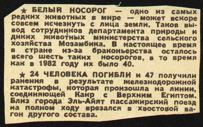 БЕЛЫЙ НОСОРОГ &mdash; одно из самых редких животных