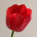 User Avatar User Avatar