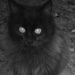 User Avatar User Avatar