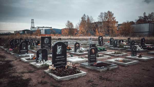 Кладбище животных Кладбище животных