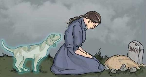 Кладбище животных Кладбище животных