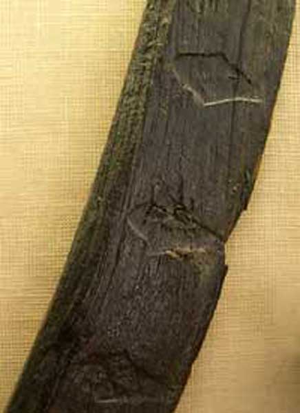 Stavnornament - Ornament Stavnornament - Ornament