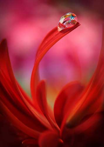 Охрана окружающей среды, сохранение экологии - это важно!