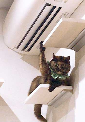 как выбрать и купить хороший кондиционер для дома или офиса