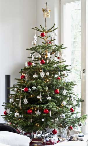 Искусственная елка или настоящая - что выбрать? Искусственная елка или настоящая - что выбрать?