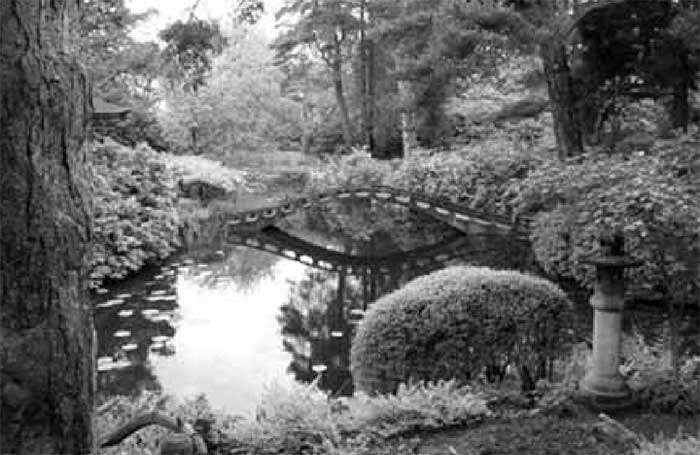 как красиво благоустроить сад, цветник, альпинарий как красиво благоустроить сад, цветник, альпинарий