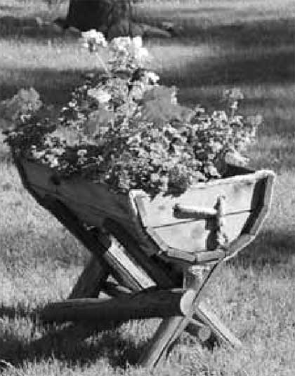 все способы и приемы для строительства альпинария в своем саду