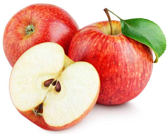 Домоводство - как подготовить сад после зимы