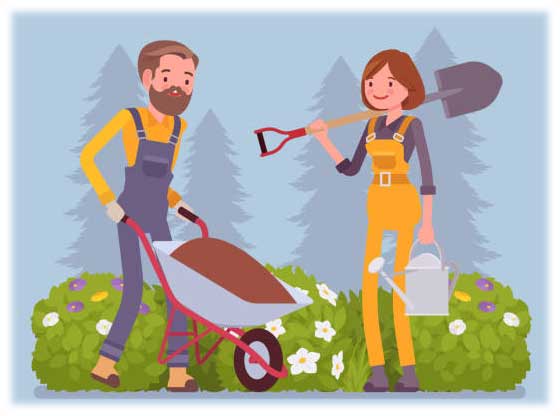 подготовка огорода после зимы, посевы