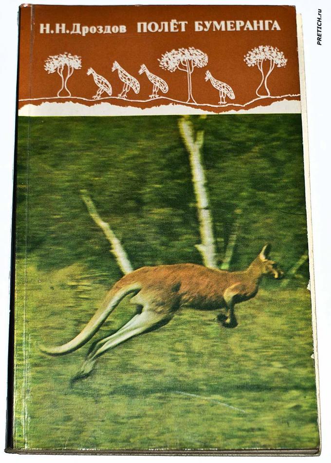 Н.Н. Дроздов - Полет бумеранга
