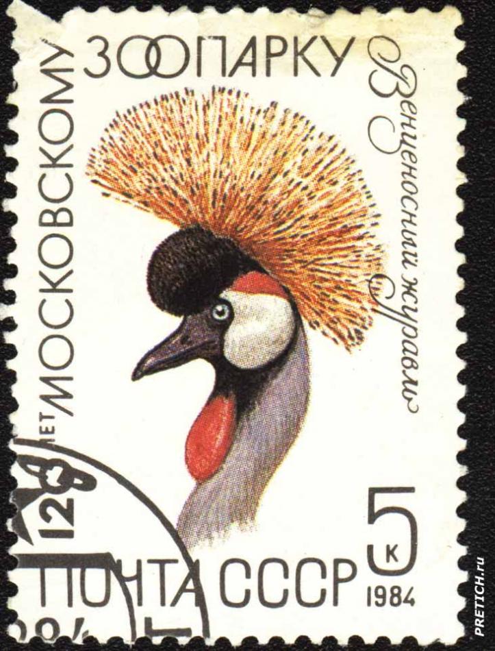 Венценосный журавль