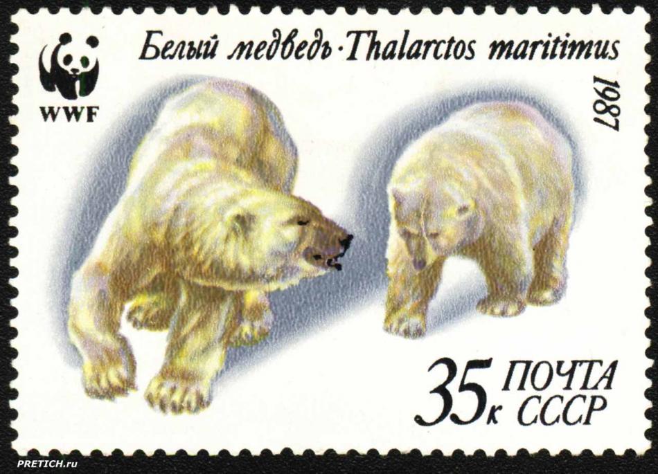 Thalarctos maritimus. WWF. 1987