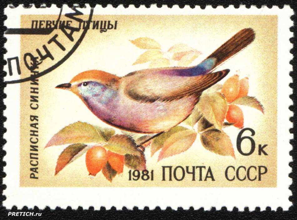 Расписная синичка