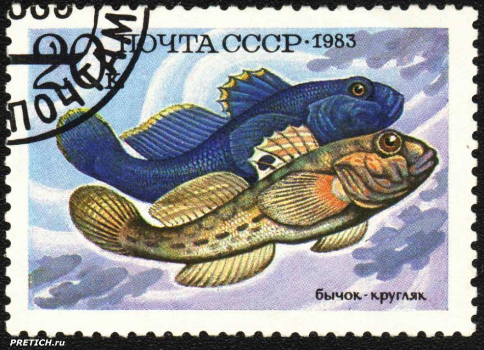 Бычок-кругляк. Почта СССР