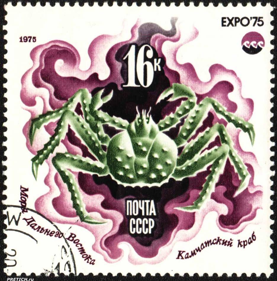 Камчатский краб, моря Дальнего Востока