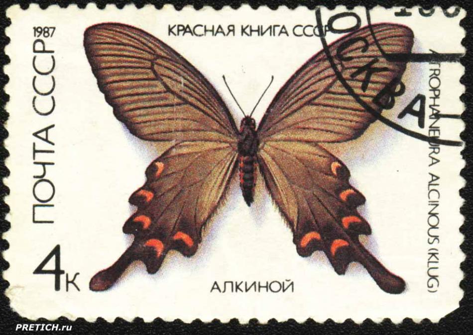 Алкиной - Atrophaneura alcinous