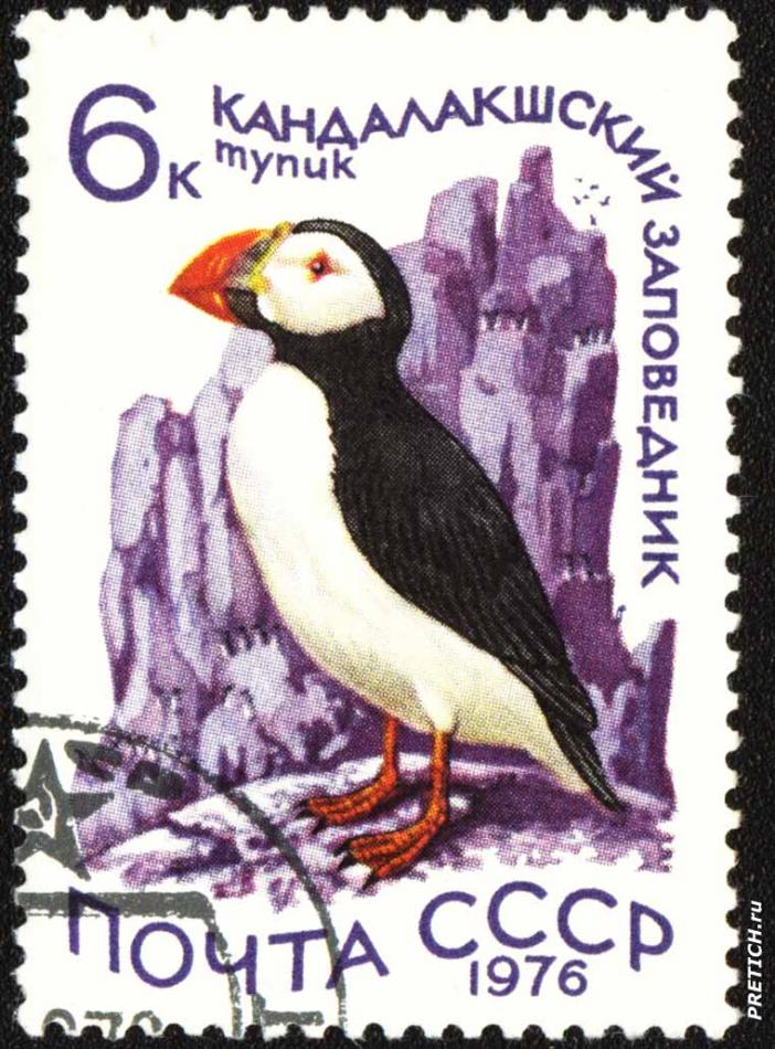 Тупик. Кандалакшский заповедник