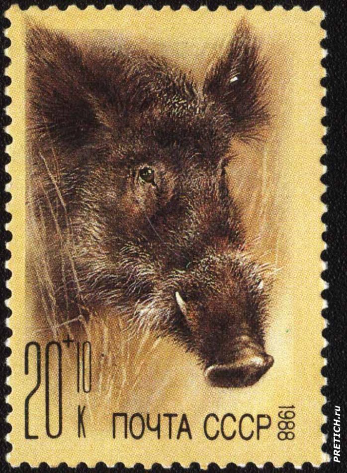 Кабан. 1988. Почта СССР