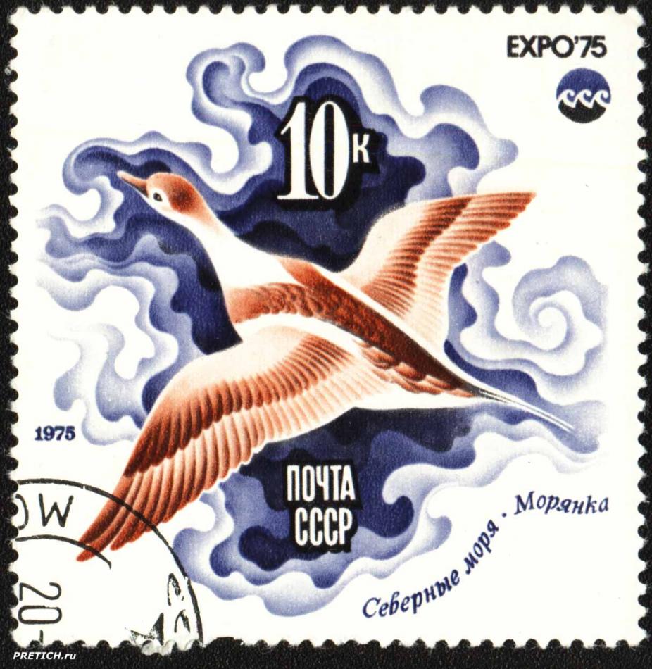 Морянка, Северные моря. EXPO'75