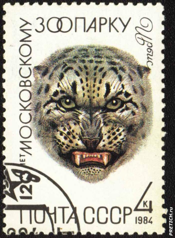 Ирбис. 120 лет Московскому зоопарку