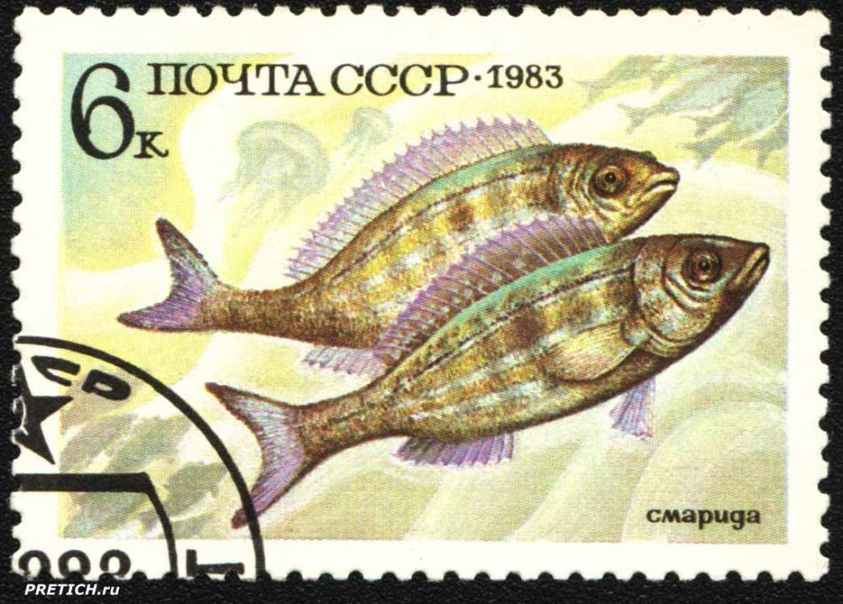 Смарида. 1983. Почта СС
