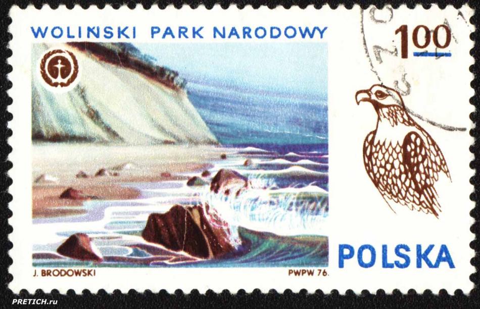 Wolinski Park Narodowy. J. Brodowski