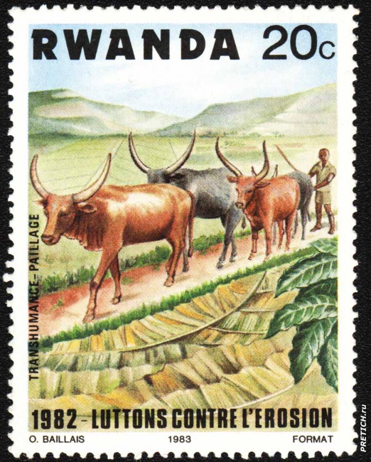 Transhumance - paillage. 1982