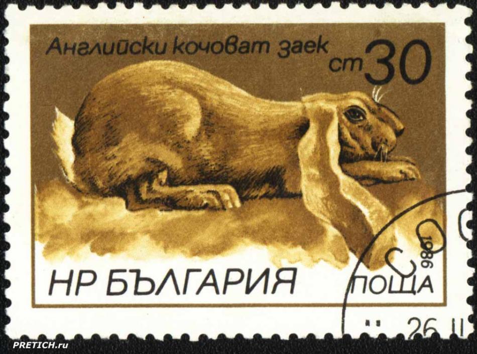 Английски кочоват заек. НР България поща. 1986