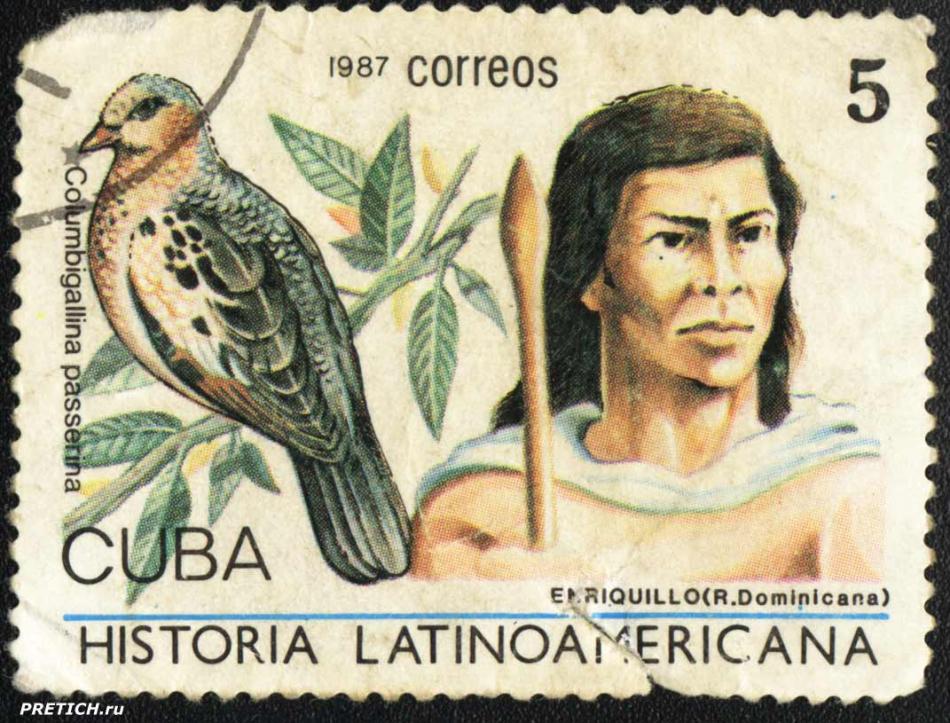 Columbigallina passerina