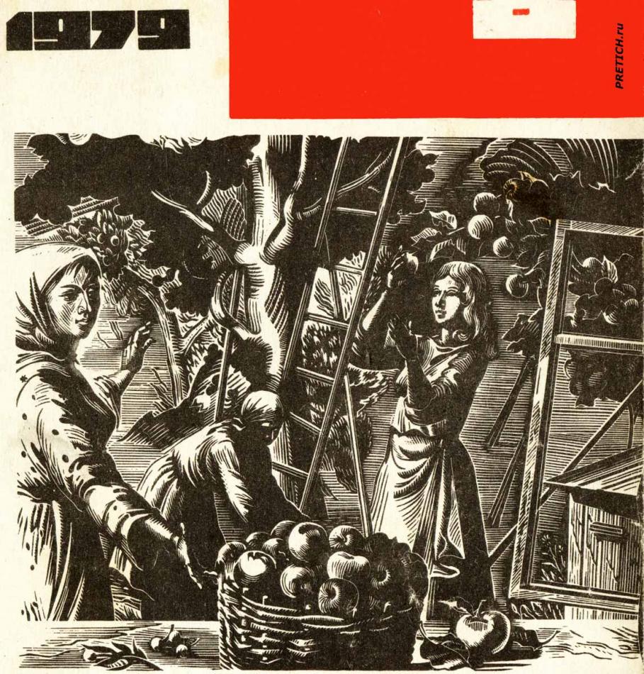 СССР - сбор яблок, 1979 год