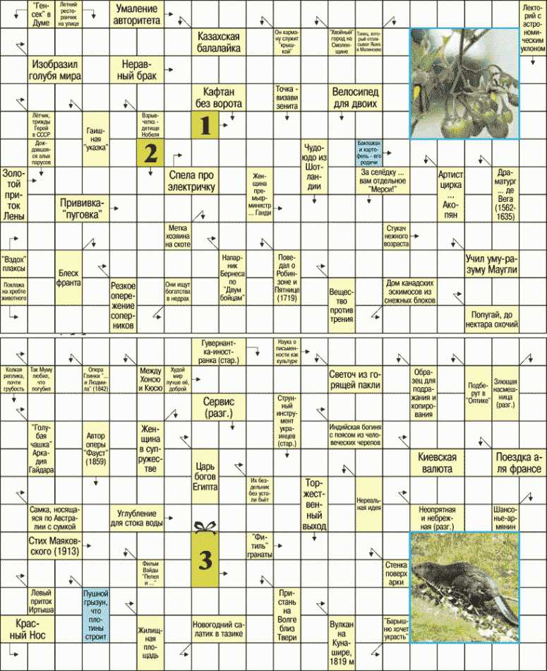 Сканворды цветные скачать!